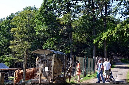 Animal Park and playground