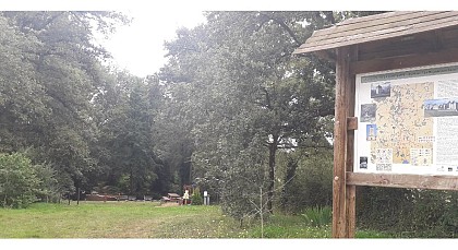 Aire de pique nique - Saint-Léomer