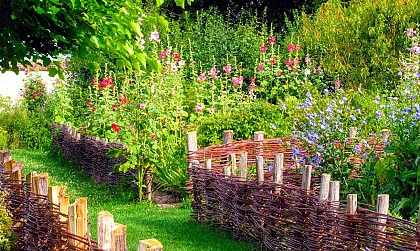 Medieval garden of the knights Templar command post in Coulommiers