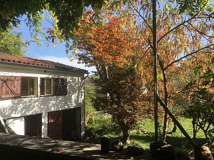 GITES DE LA GROTTE AU LION - L'ERABLE POURPRE