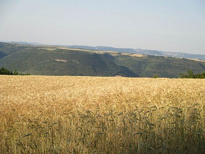 A view over the Sorgues valley