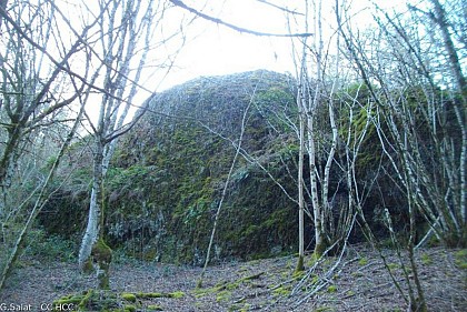 Rocher du Grisot