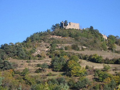 Le château d'Algues