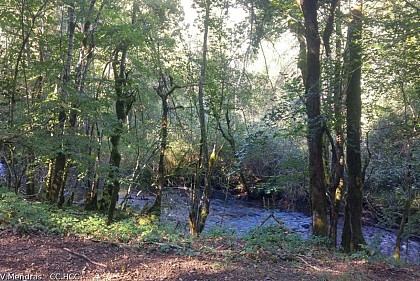 Vallée du Dognon