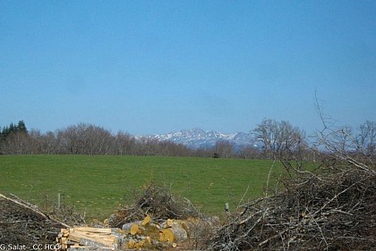 Le Sancy