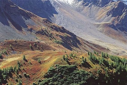 The different environments