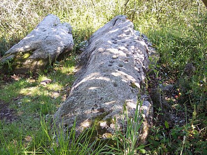 Pierre du Chien à l'affut