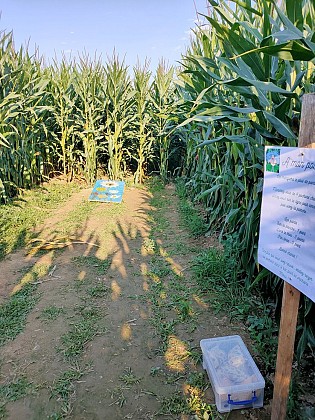Labygreen - Labyrinthe de maïs