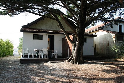 Arnaudin Francis - Villa Martha - Côté Sud