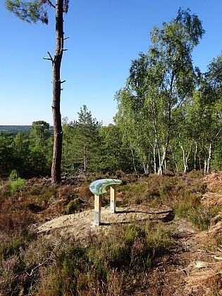 La forêt départementale de Rochefort-en-Yvelines