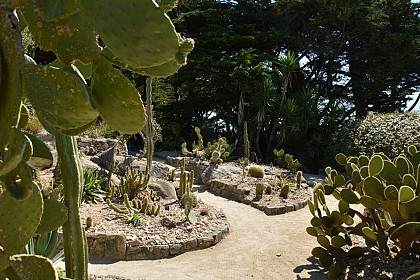 Le jardin Georges Delaselle