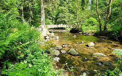 Les îles marie-louise