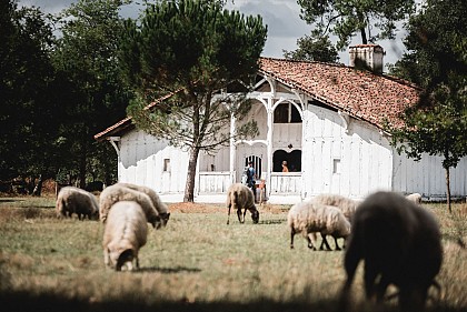 Ecomusée de Marquèze