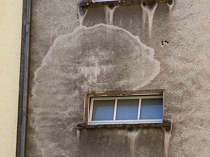 Le visage mystérieux