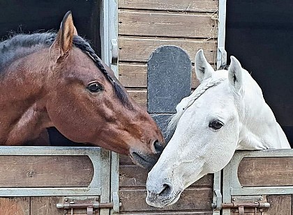 Les écuries du moulin à poudre