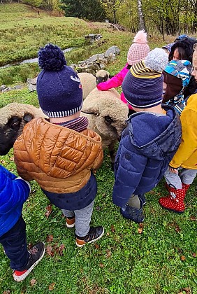 Complicités animales - pedagogical farm