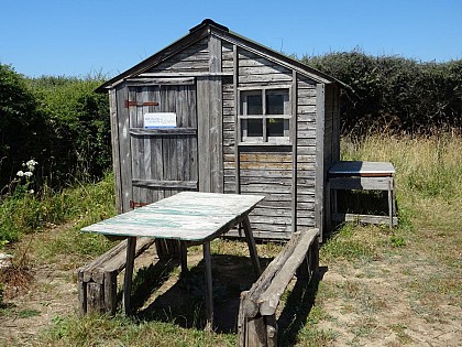 Station de baguage de l'étang de TRunvel - Bretagne Vivante