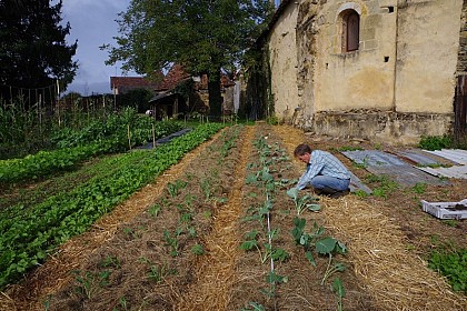 Aux P'tits Oignons !