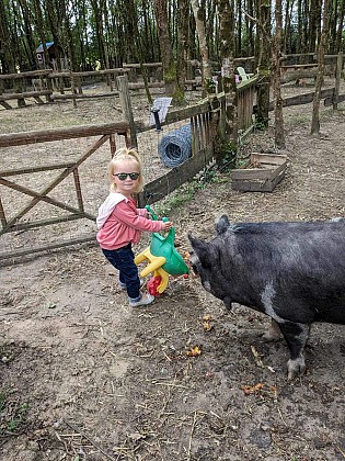 FERME PÉDAGOGIQUE «LES FUN K'BANES»