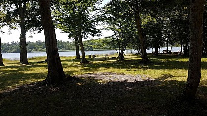 Aire de pique-nique de l'Etang des Bois
