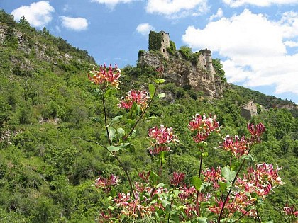 Montméjean