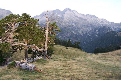 Col d'Estoudou (2260m)