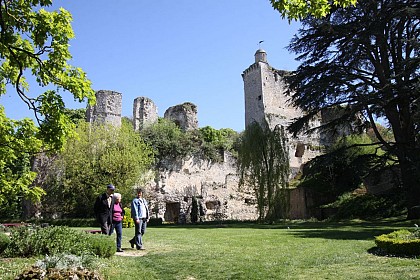 Château des Bourbon-Vendôme