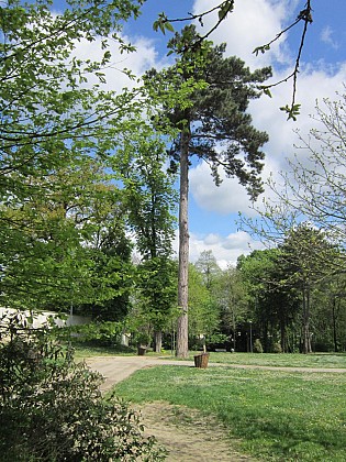 Fontenay-le-Fleury, parc des Missionnaires