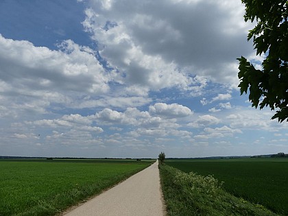 Fontenay-le-Fleury, allée royale