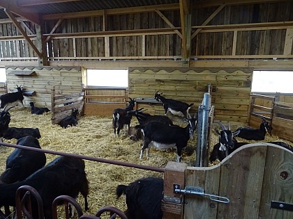 Ferme de la Bonnellerie