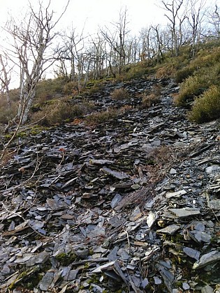 Ancienne exploitation d'ardoises