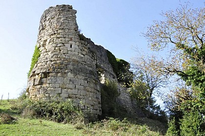 Le château de Montferrand