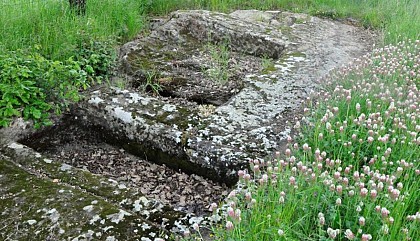 Les sépultures mérovingiennes du Malbousquet