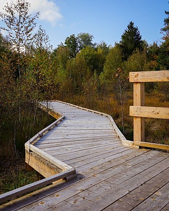 Marche nordique n°06 bleu - arboretum Fallières