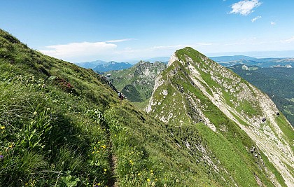 Alps'Chill