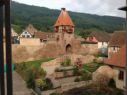 Centre de la Randonnée d'Alsace Centrale Marcel Rudloff à Châtenois (67)