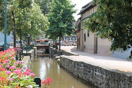 L'Aubach et ses lavoirs à Scherwiller