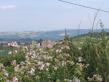 Village de Bozas