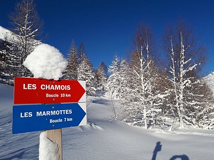 County of La Meije's Nordic Area