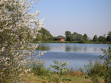 Forez Pond house and nature reserve of Biterne
