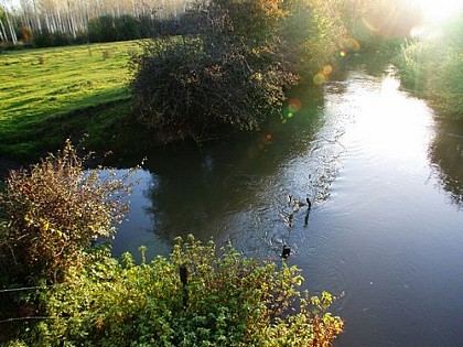 Le marais du Negando