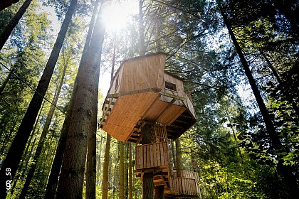 Village des cabanes perchées du Lac des Sapins