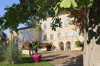 Castle of Loges