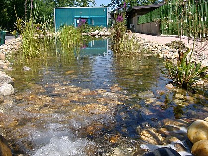 Maison Aquarium du val de Besbre : scénographie de l'eau douce