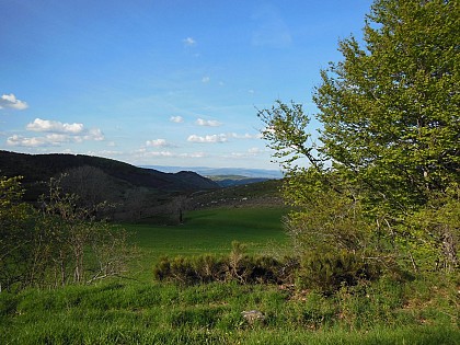 Causse Bégon