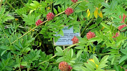Jardin botanique de la Charme