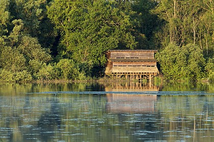 Etang de Lemps ornithological observatory