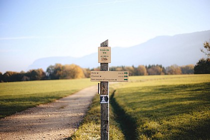 Panorama du Mont-Sion - Croix de vin