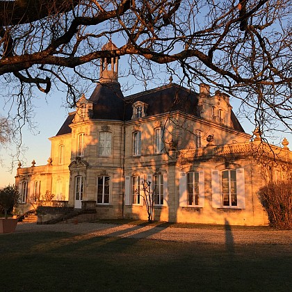 Vignobles Chanfreau - Châteaux Fonréaud et Lestage