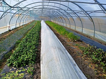 La Ferme des Equinoxes